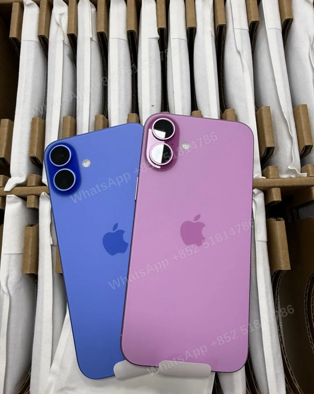 Asis+ 16 plus 128G ZA 5 colour！ - LiuDao stock photo 1