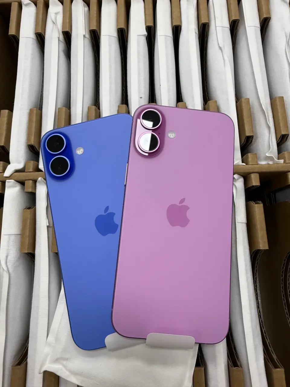 Asis+ 16 plus 128G ZA 5 colour！ - LiuDao iPhone stock photo 1