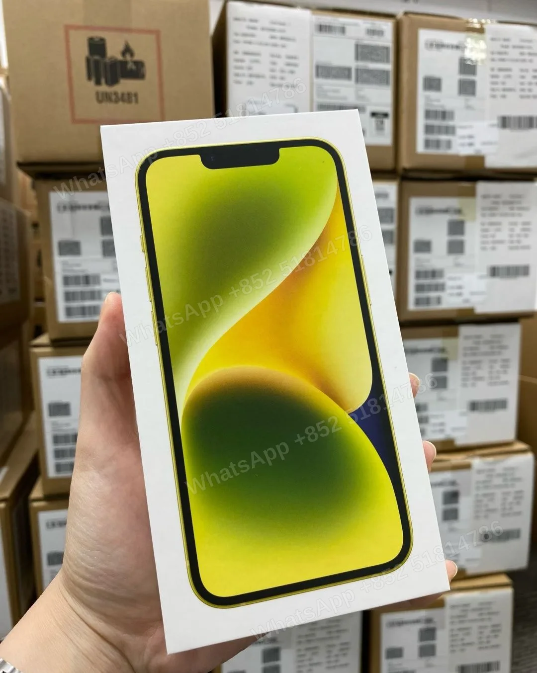 iPhone 14 New (Yellow) CPO (Black/ White/ Blue) - LiuDao stock photo 1