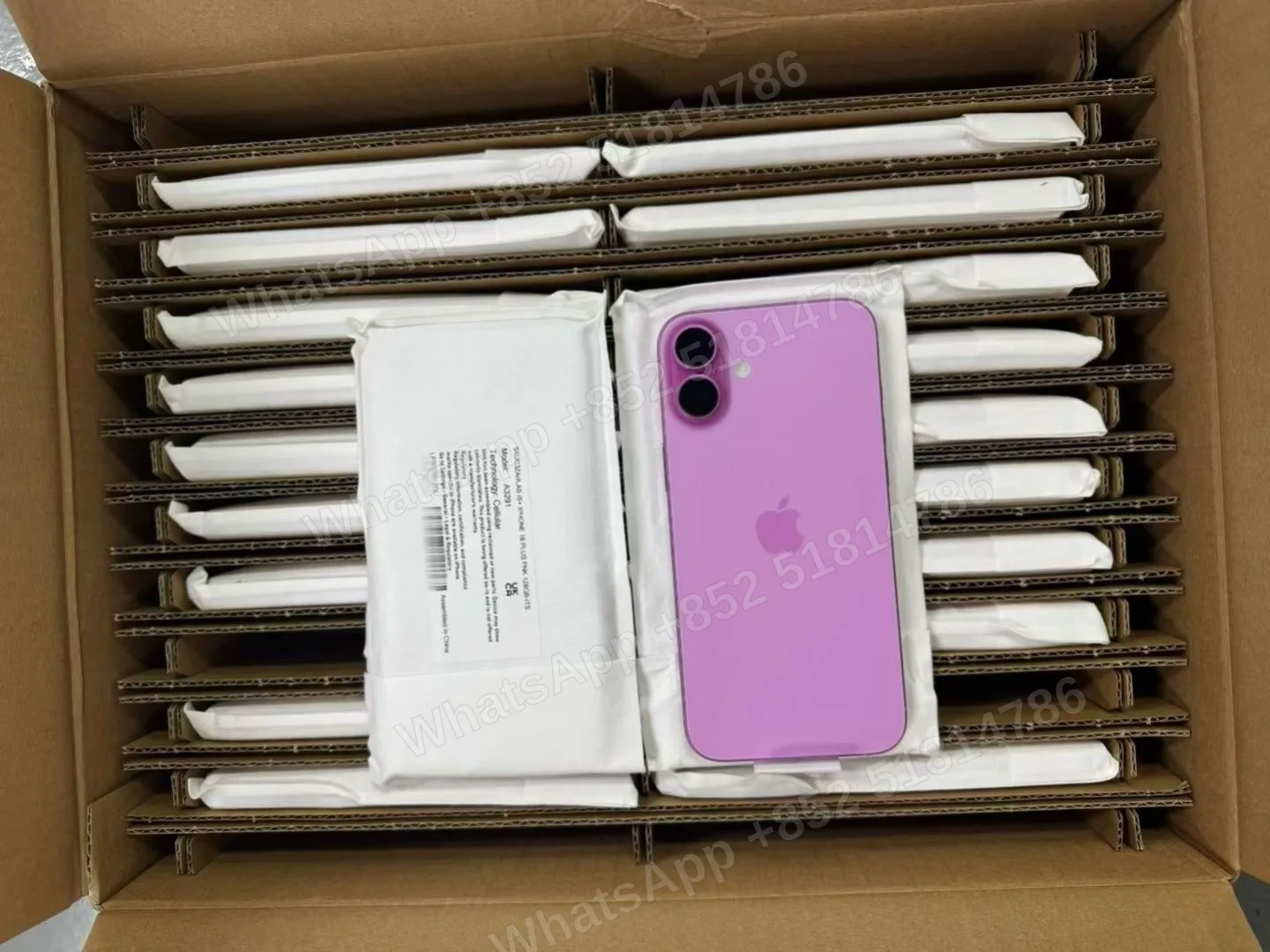iPhone-Asis+-iphone 16 Plus-2 Sim-A3291-ZA-A-128GB-Not Activate - LiuDao stock photo 1