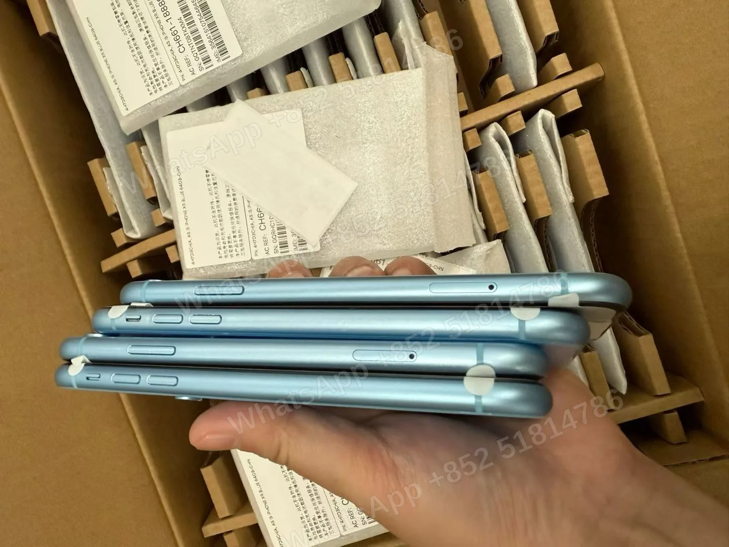 • iPhone XR 📱 • Asis (As-is) ⚠️ • All colors available 🌈 - LiuDao stock photo 1