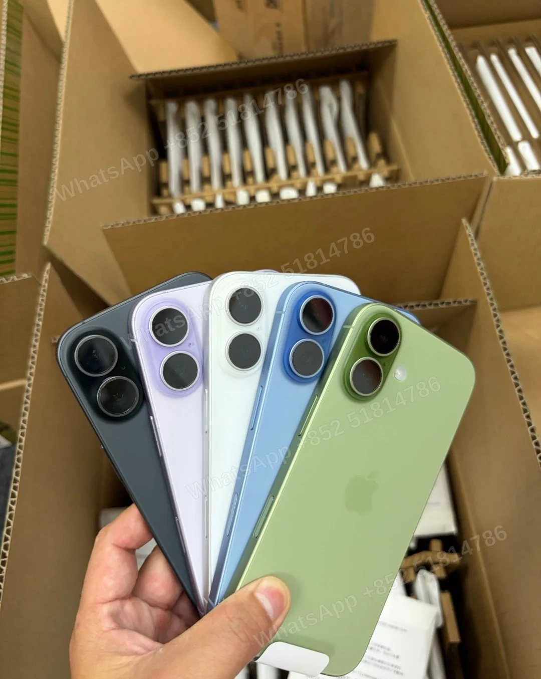 iPhone17 ASIS+/ASIS - LiuDao stock photo 1