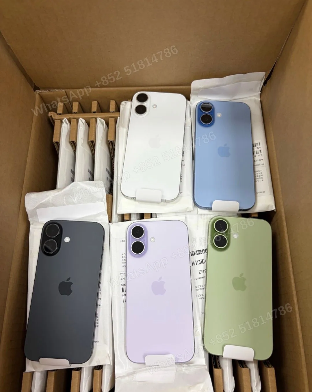 iPhone17 ASIS+/ASIS - LiuDao stock photo 4