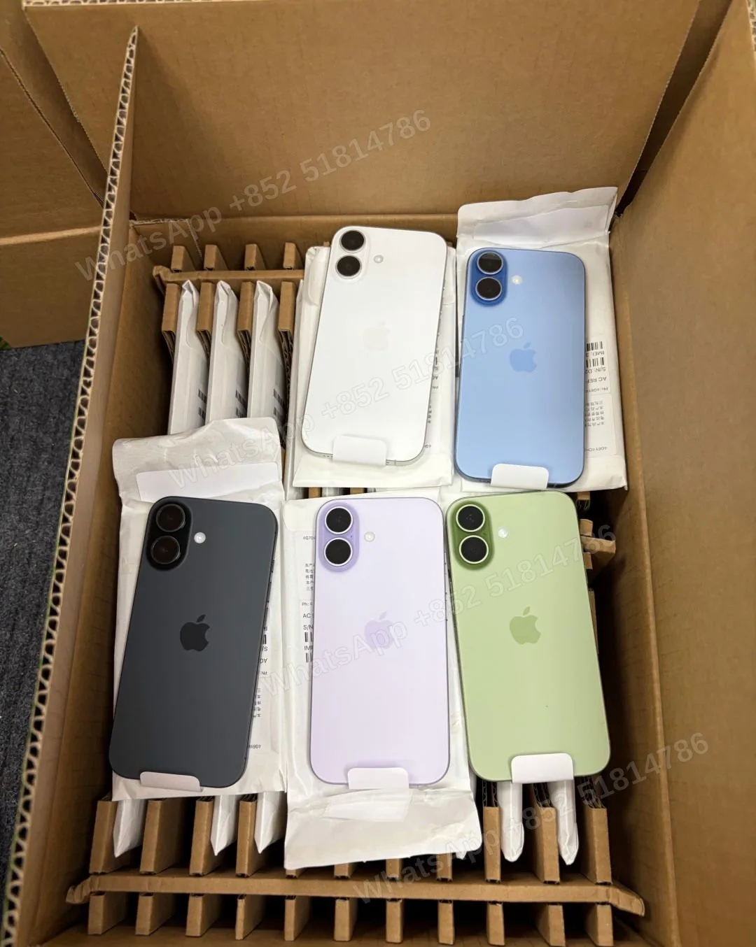 iPhone17 ASIS+/ASIS - LiuDao stock photo 5