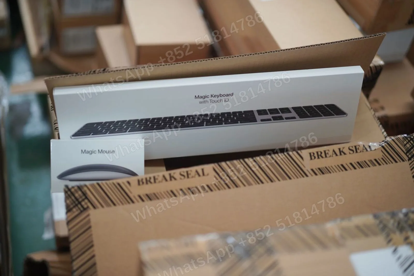 Magic keyboard ⌨️ Magic mouse🖱 - LiuDao stock photo 1