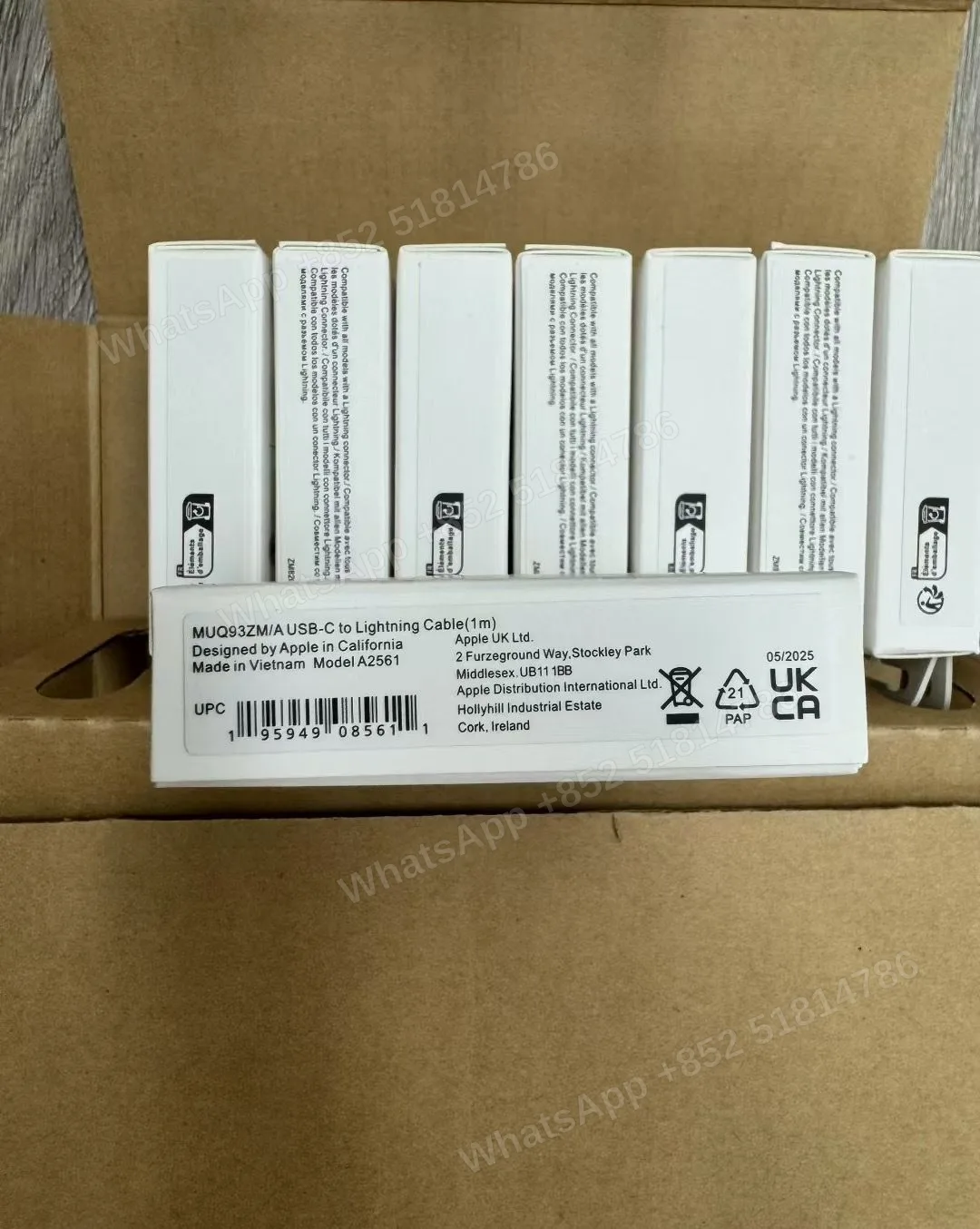 • 原箱 📦（Original carton） • 原盒 📦（Original box） • 5000 件 🔢（5000 pieces） - LiuDao stock photo 1